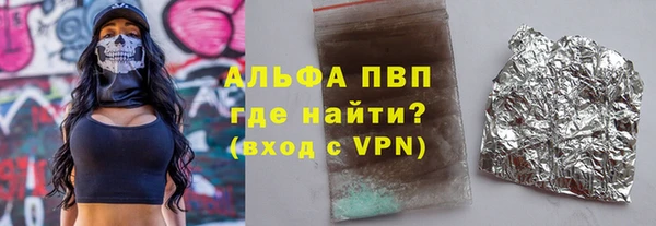 индика Медногорск