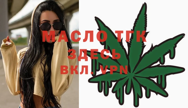 молекула духа Михайлов