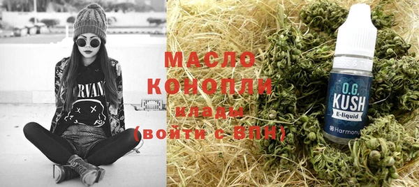 индика Медногорск