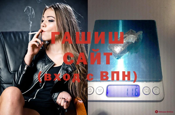 индика Медногорск