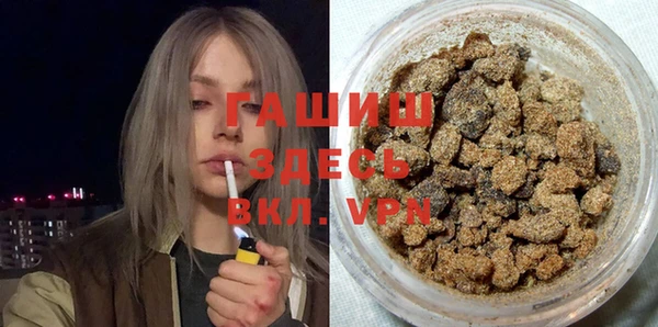 индика Медногорск