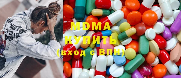 индика Медногорск