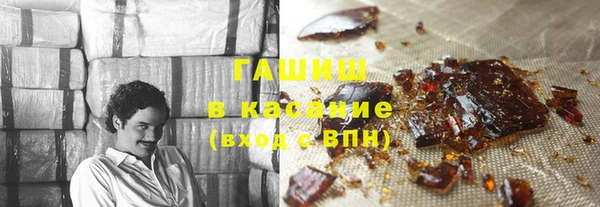 индика Медногорск