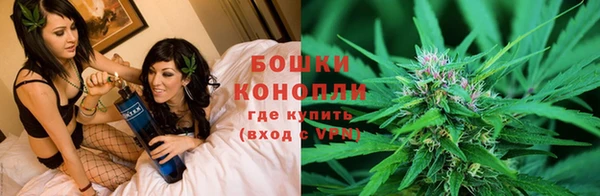 индика Медногорск