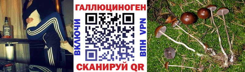 Галлюциногенные грибы мухоморы Полярный